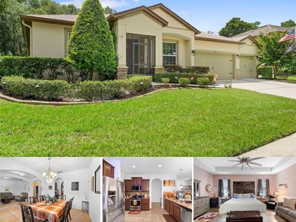 541 MORGAN WOOD DRIVE, DELAND, FL 32724