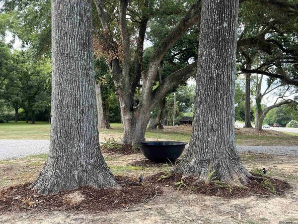 7357 Us Hwy 61, St Francisville, LA 70775