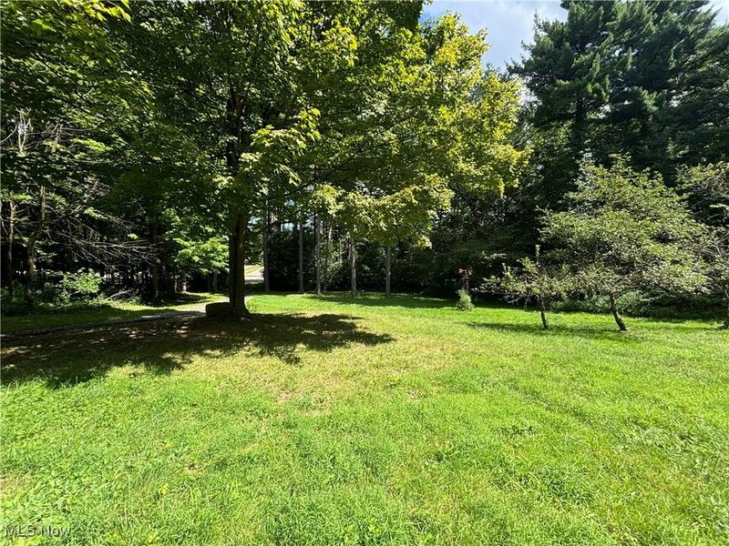 13790 Aquilla Road, Burton, OH 44021 Photo 20