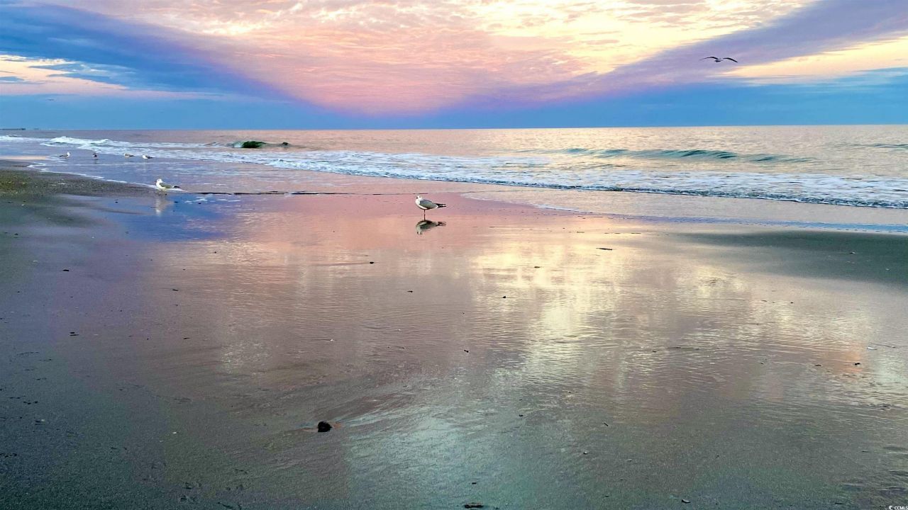 2001 S Ocean Blvd. Photo 16