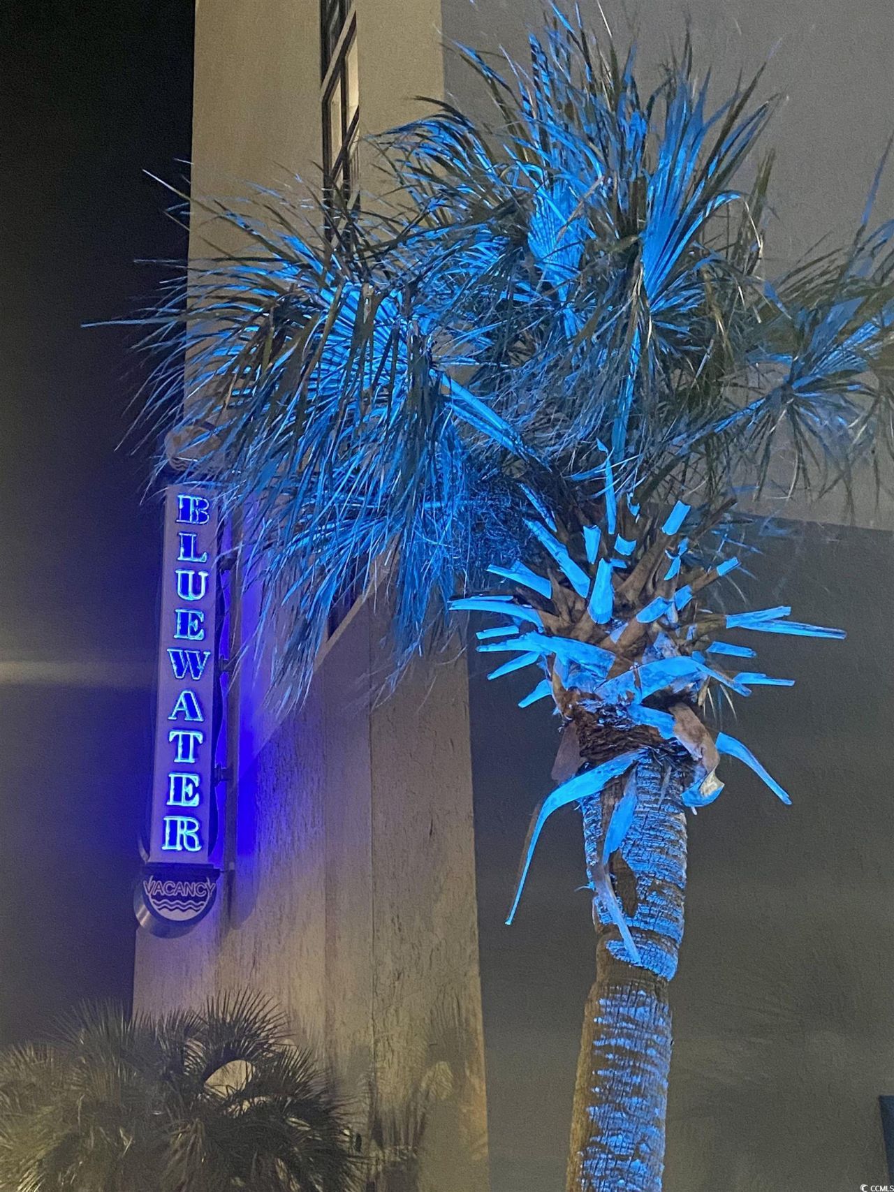 2001 S Ocean Blvd. Photo 30