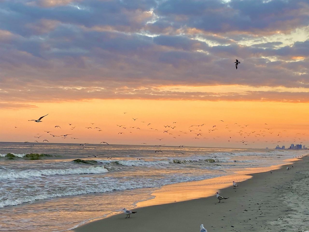 2001 S Ocean Blvd. Photo 7