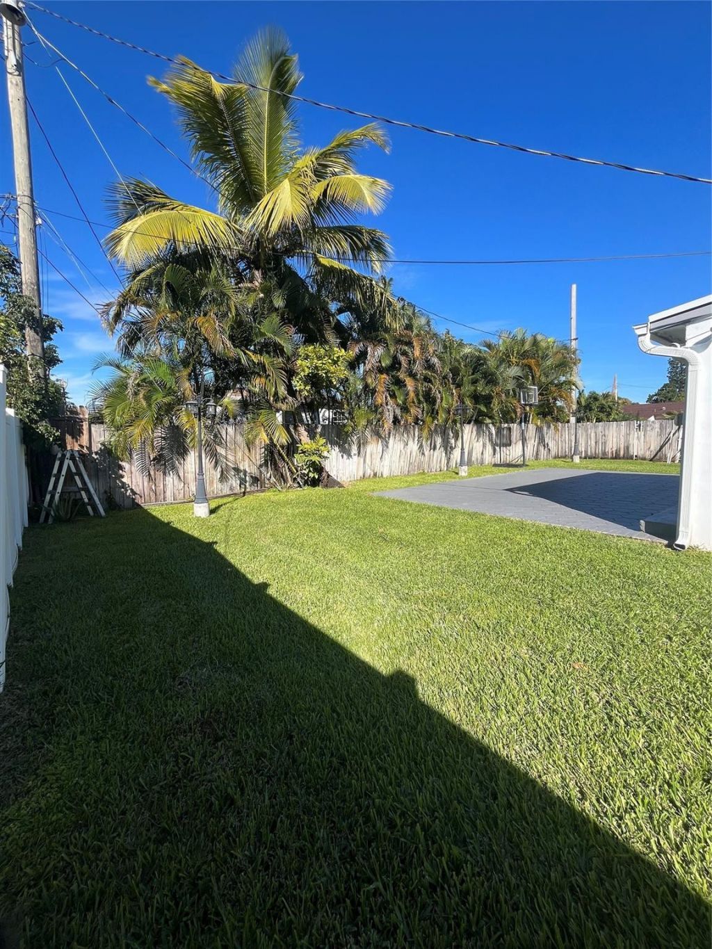 2503 Wiley Street, Hollywood, FL 33020 Photo