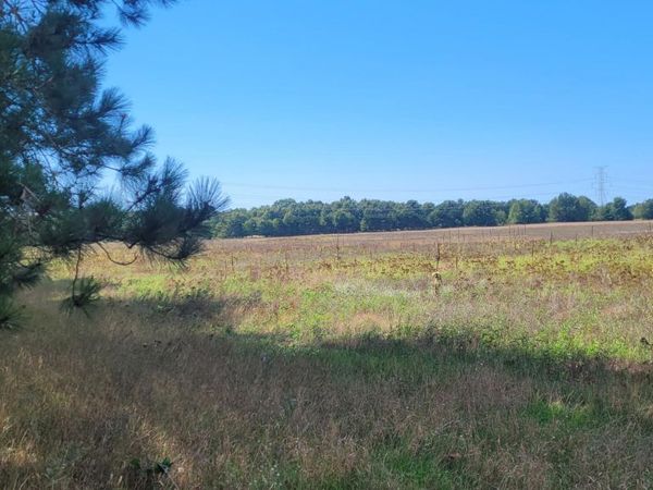 N 88th Ave Avenue, Pentwater, MI 49449