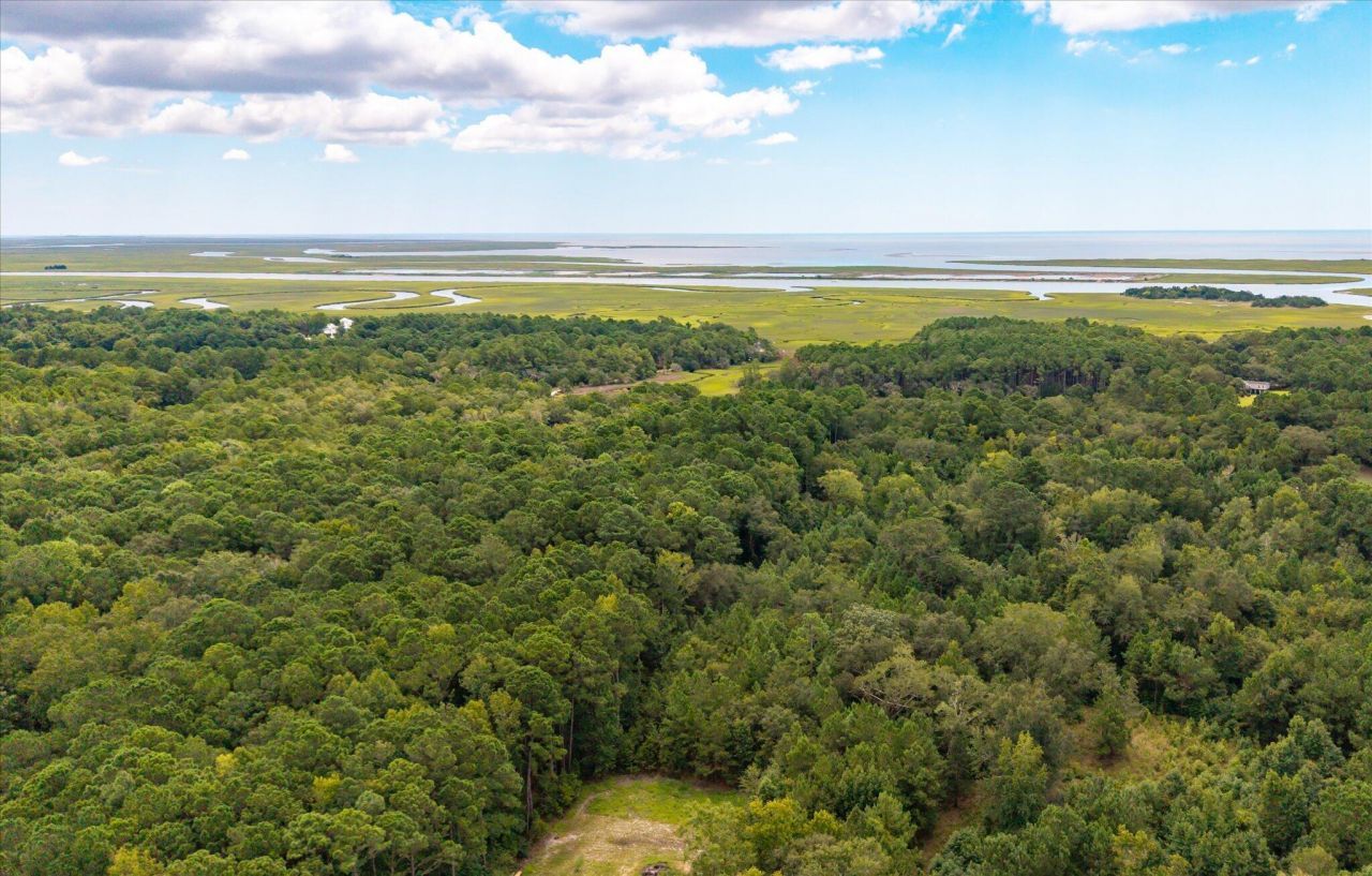 000 N Hwy 17 Photo 13