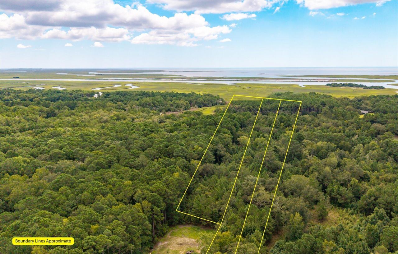 000 N Hwy 17 Photo 14