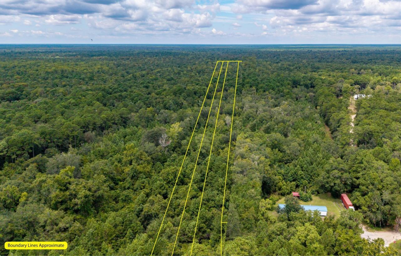 000 N Hwy 17 Photo 23