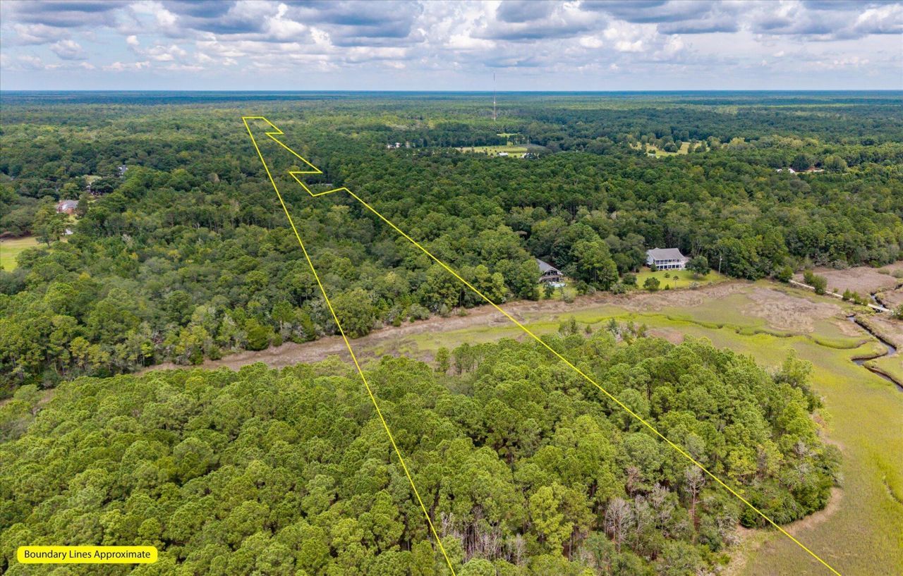 000 N Hwy 17 Photo 4