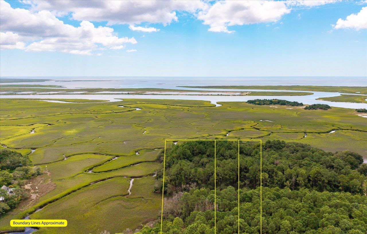 000 N Hwy 17 Photo 5