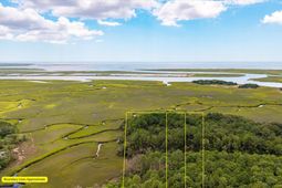 000 N Hwy 17 photo 4