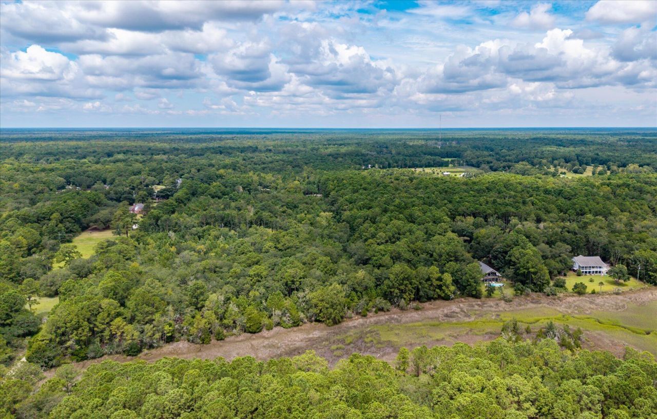 000 N Hwy 17 Photo 9