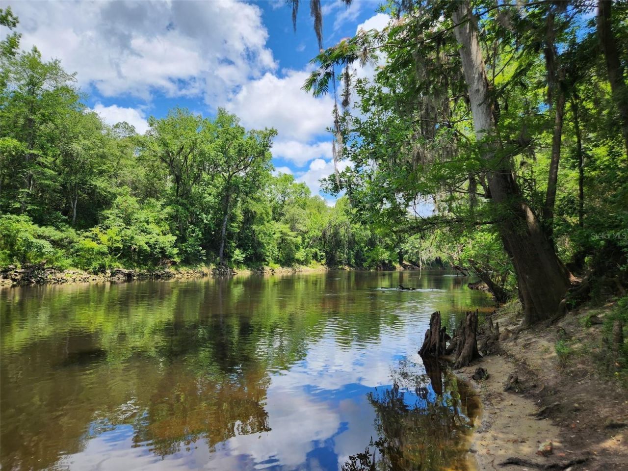 00, Jasper, FL 32052 Photo