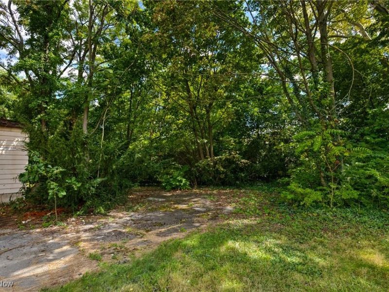 237 Norwood Avenue, Youngstown, OH 44504 Photo 18