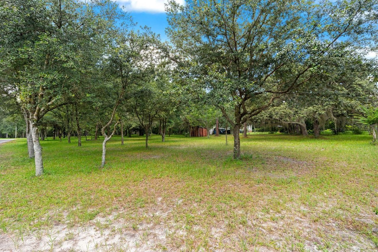 802 Hamilton Drive, Orlando, FL 32833 Photo