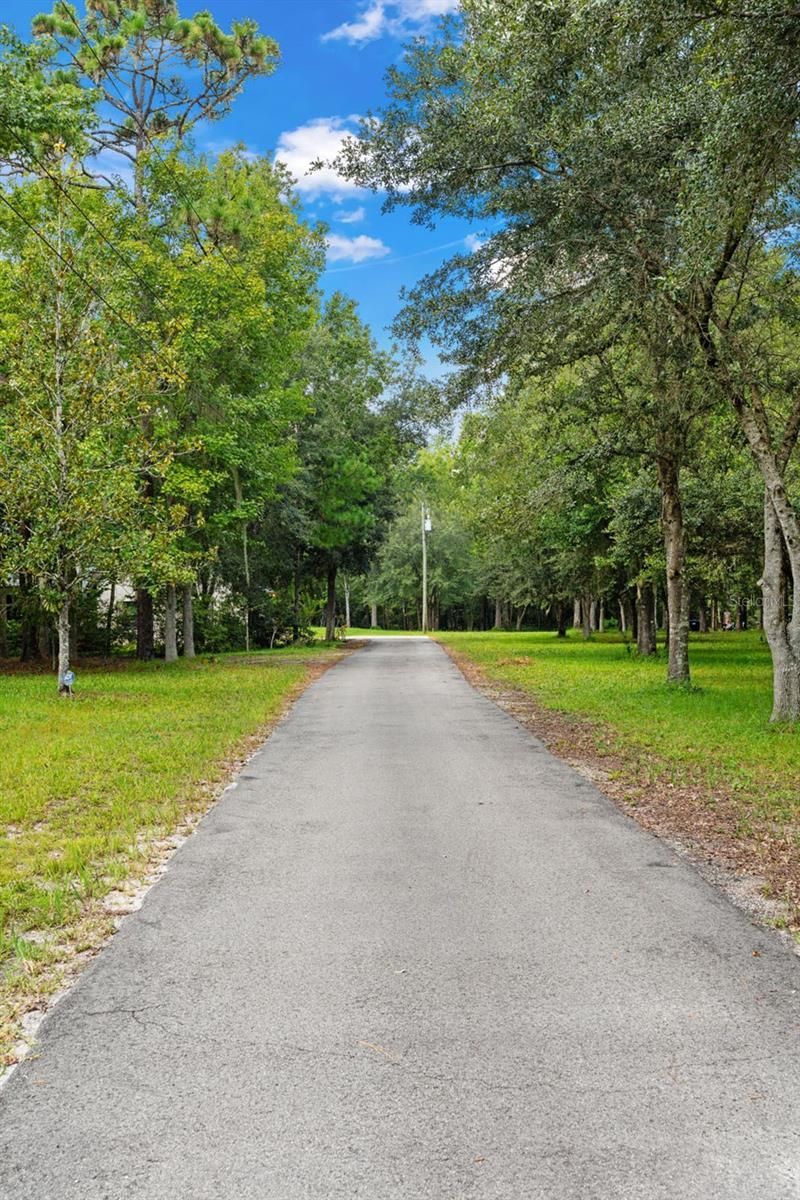 802 Hamilton Drive, Orlando, FL 32833 Photo