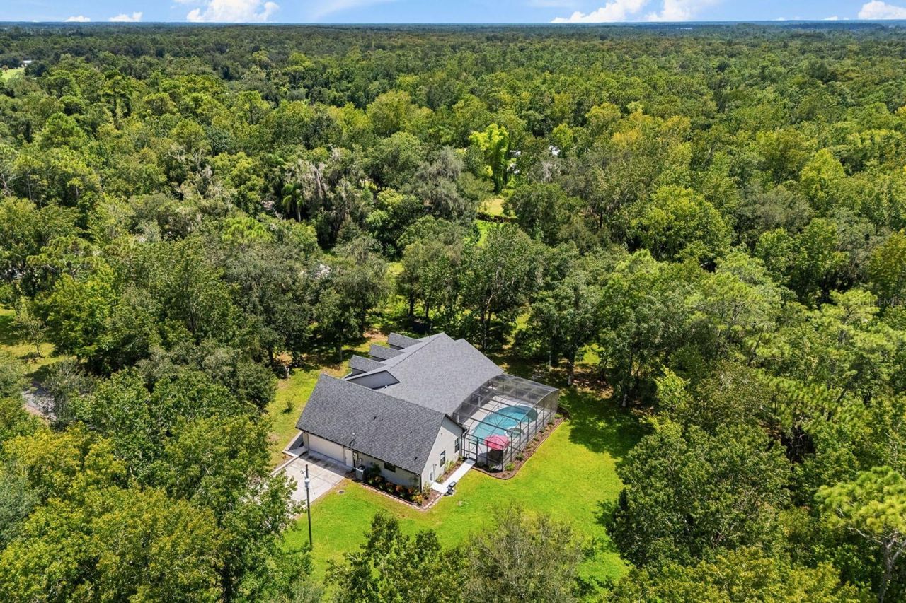 802 Hamilton Drive, Orlando, FL 32833 Photo