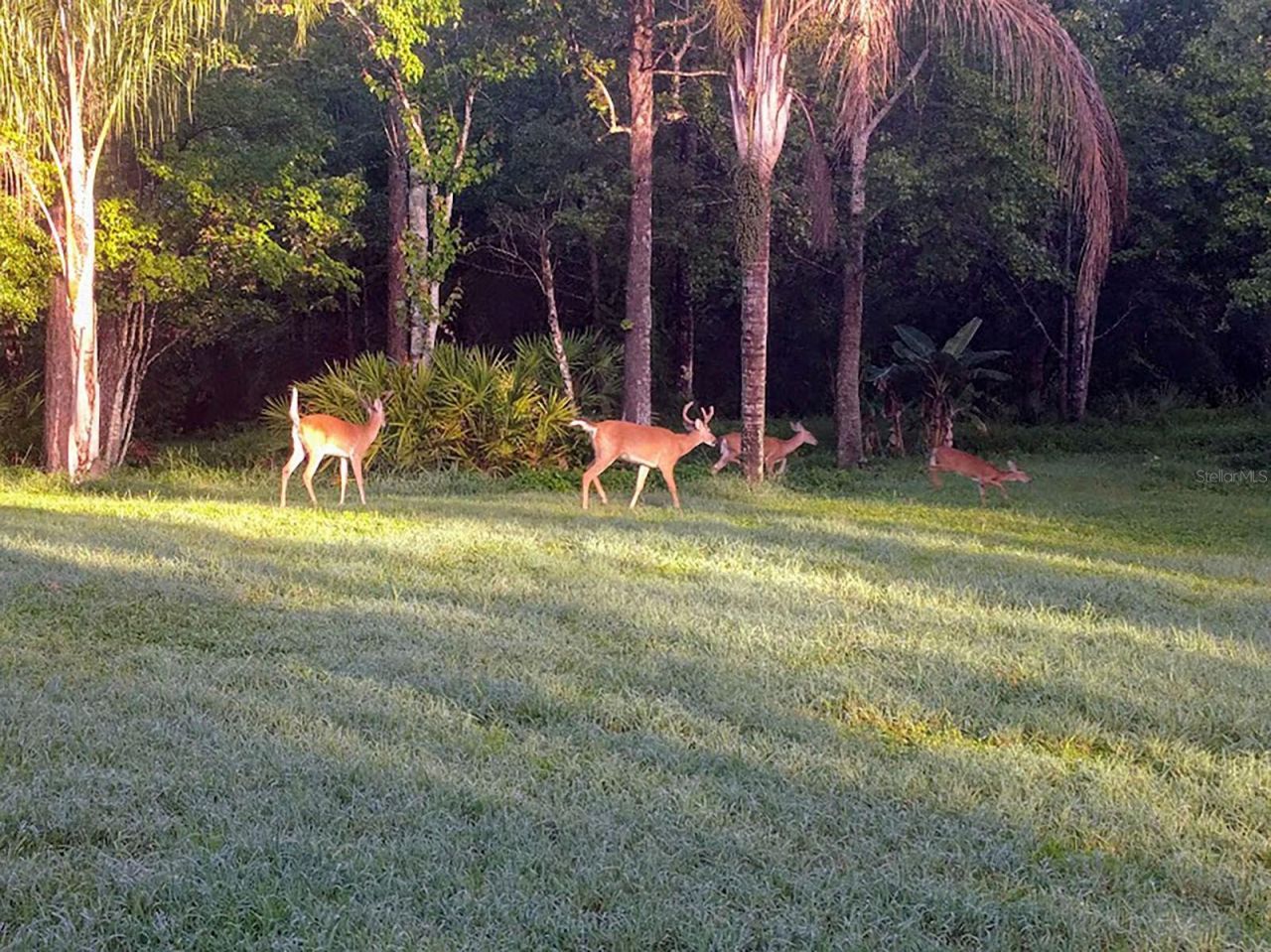 802 Hamilton Drive, Orlando, FL 32833 Photo