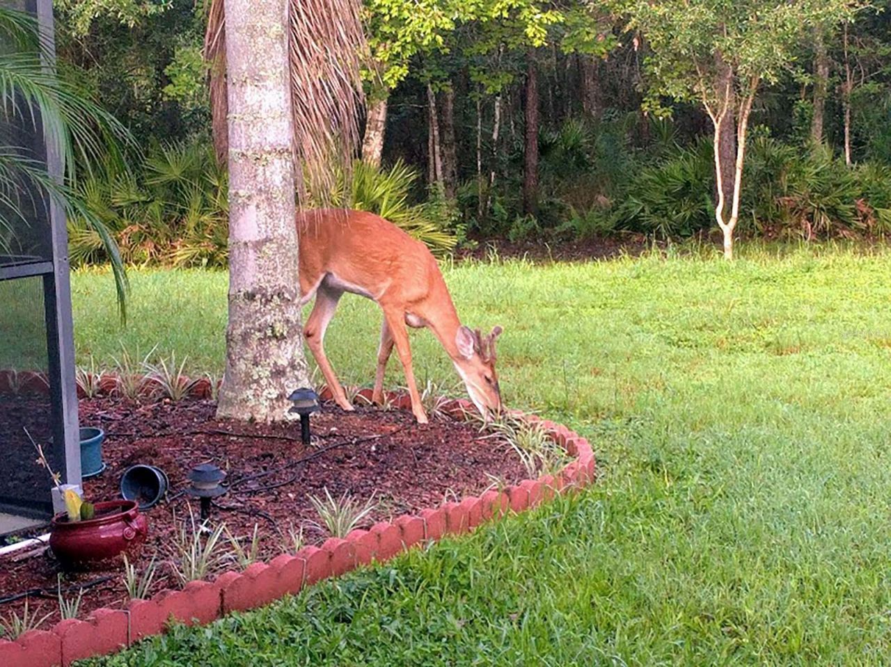 802 Hamilton Drive, Orlando, FL 32833 Photo