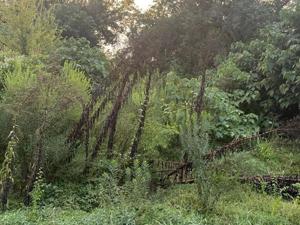 3819 Uncas St, Baton Rouge, LA 70805