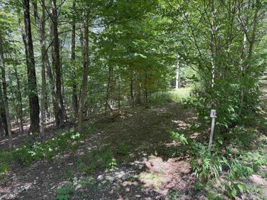 Lot 11 Kumbrabow Road, Huttonsville, WV 26273