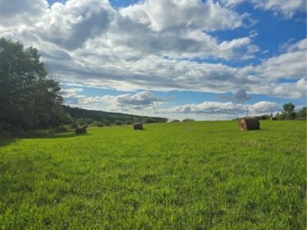 Potter Road, Jasper, NY 14855