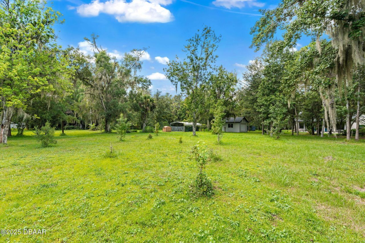 802 Hamilton Drive, Orlando, FL 32833 Photo