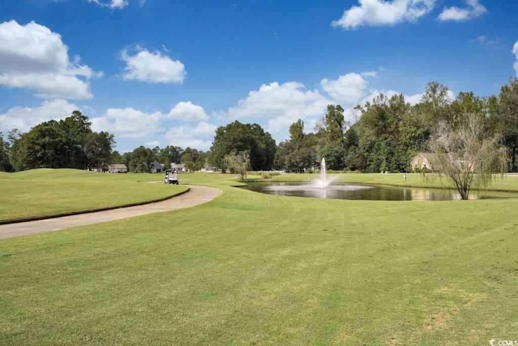 1002 Cherrystone Loop Photo 30