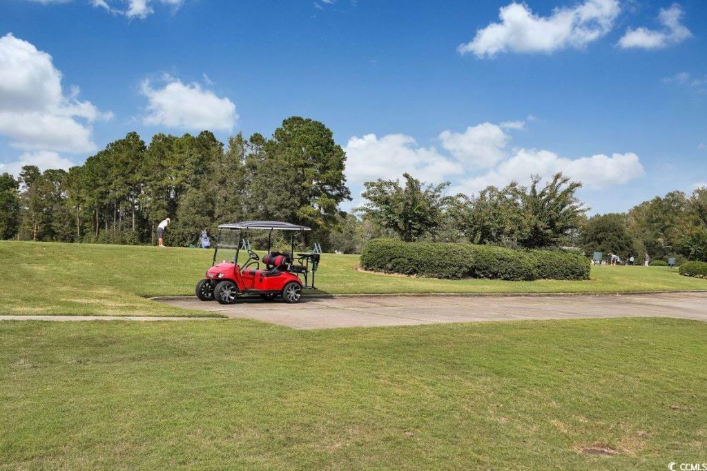 1002 Cherrystone Loop Photo 32