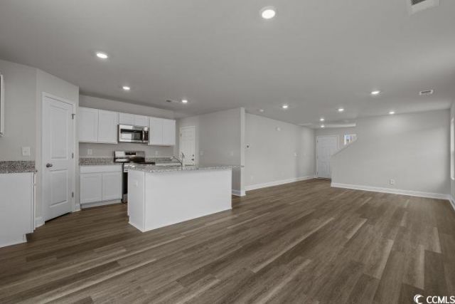 1002 Cherrystone Loop Photo 9