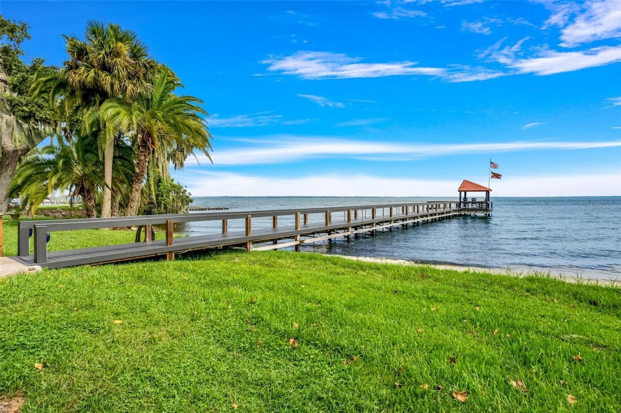 701 Clusterwood Drive, Yalaha, FL 34797 Photo