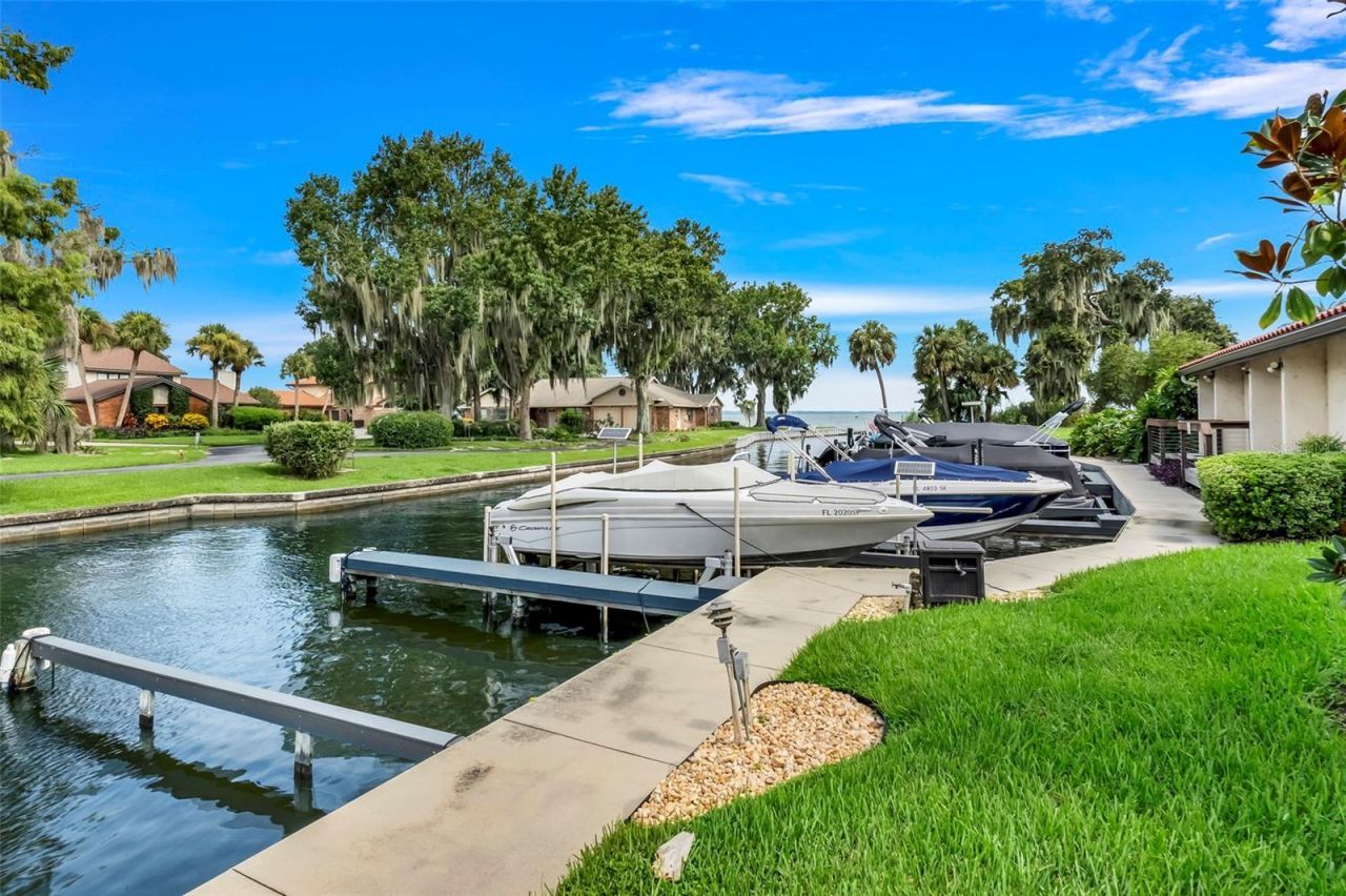 701 Clusterwood Drive, Yalaha, FL 34797 Photo