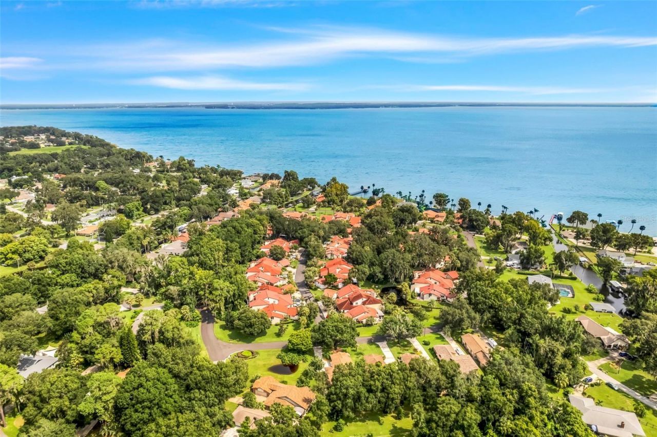 701 Clusterwood Drive, Yalaha, FL 34797 Photo