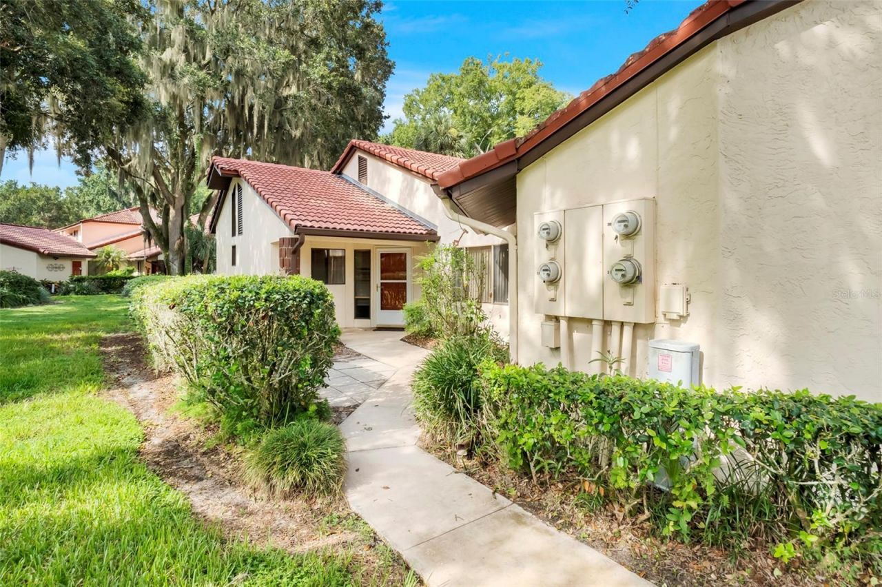 701 Clusterwood Drive, Yalaha, FL 34797 Photo