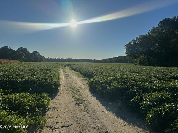 5355 Creech Road, Lucama, NC 27851