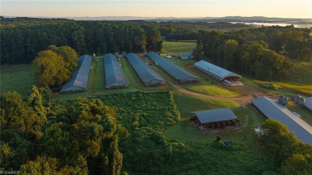 167 Buck Hollow Trail, Ararat, NC 27007 Main Photo