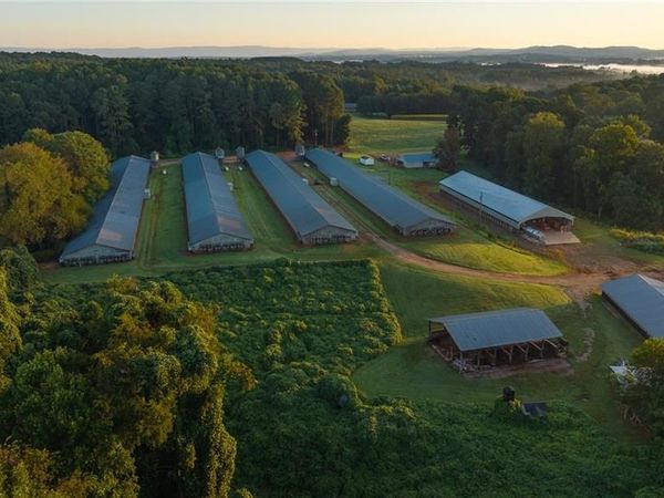 167 Buck Hollow Trail, Ararat, NC 27007