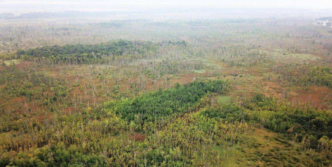 Tbd 340th Street, New York Mills, MN 56567 Main Photo