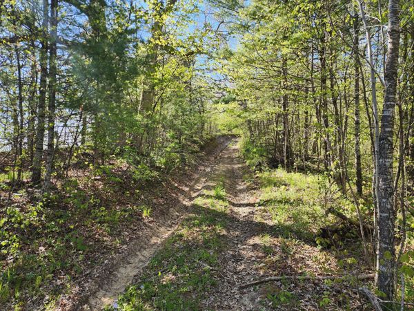 TBD County Road 1 SE, Pleasant Grove Twp, MN 55976