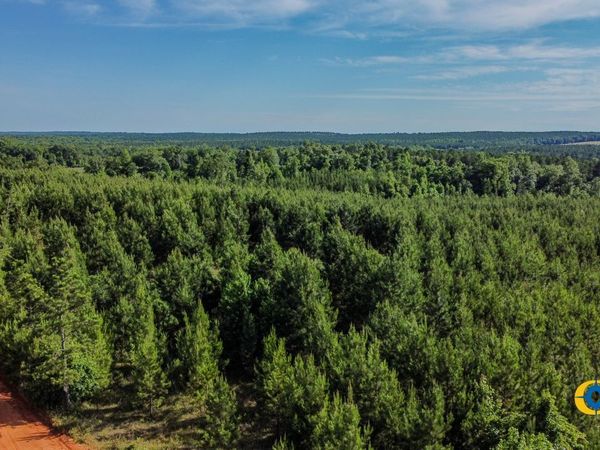 0 Welch Road, Buena Vista, GA 31803