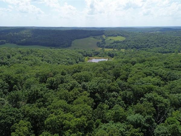 Lot #8 Anthonies Mill Road, Bourbon, MO 65441