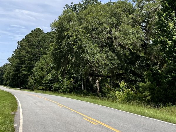 0 Sandy Run Road, Riceboro, GA 31323