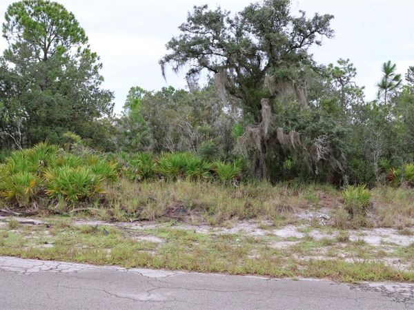 3335 GERBER AVENUE, LAKE PLACID, FL 33852