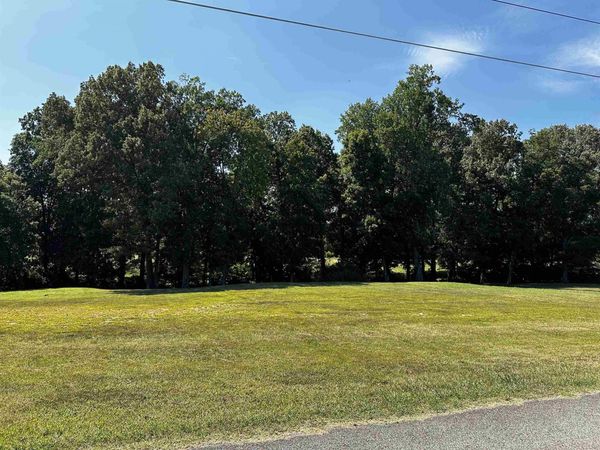 46 BLACKGUM RD, Brownsville, TN 38012