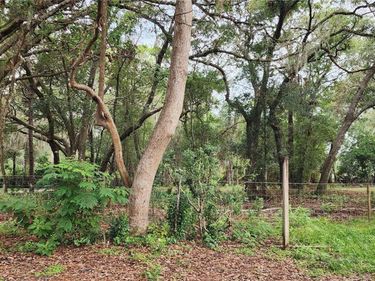 711 SUNSET AVENUE, ORANGE CITY, FL 32763