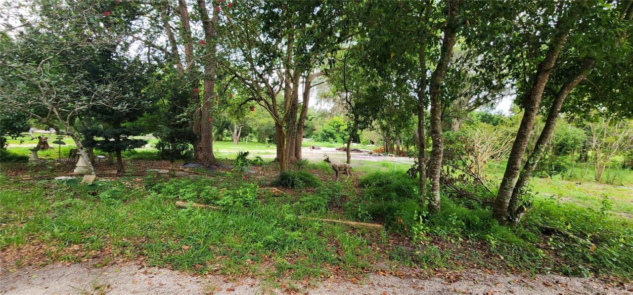 711 Sunset Avenue, Orange City, FL 32763 Photo