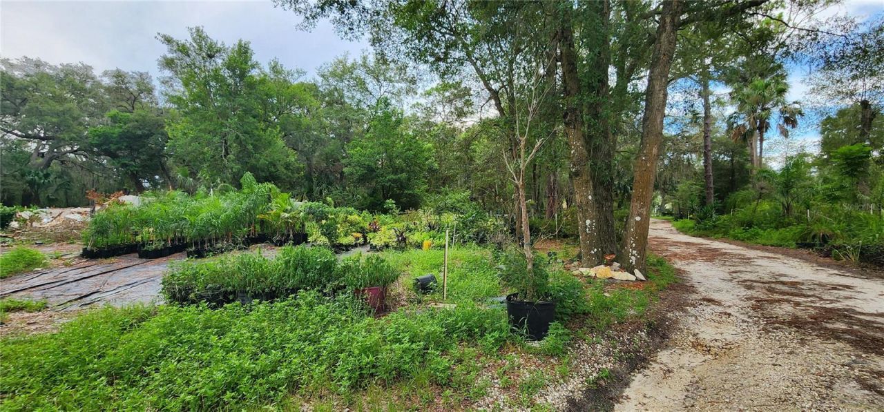 711 Sunset Avenue, Orange City, FL 32763 Photo