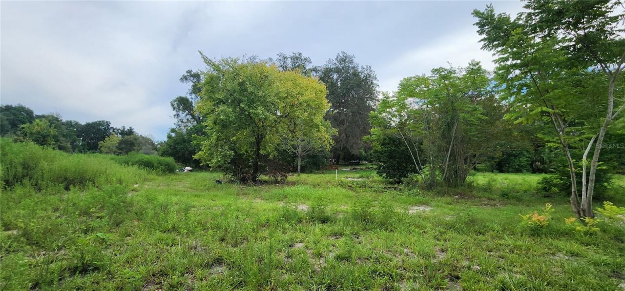 711 Sunset Avenue, Orange City, FL 32763 Photo