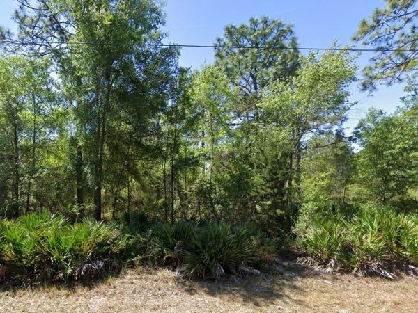 7350 W VILLAGE DRIVE, HOMOSASSA, FL 34446