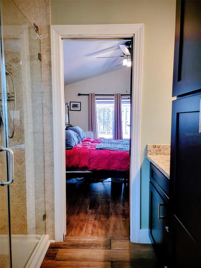 1876 Springbush Lane, Clearwater, FL 33763 Photo