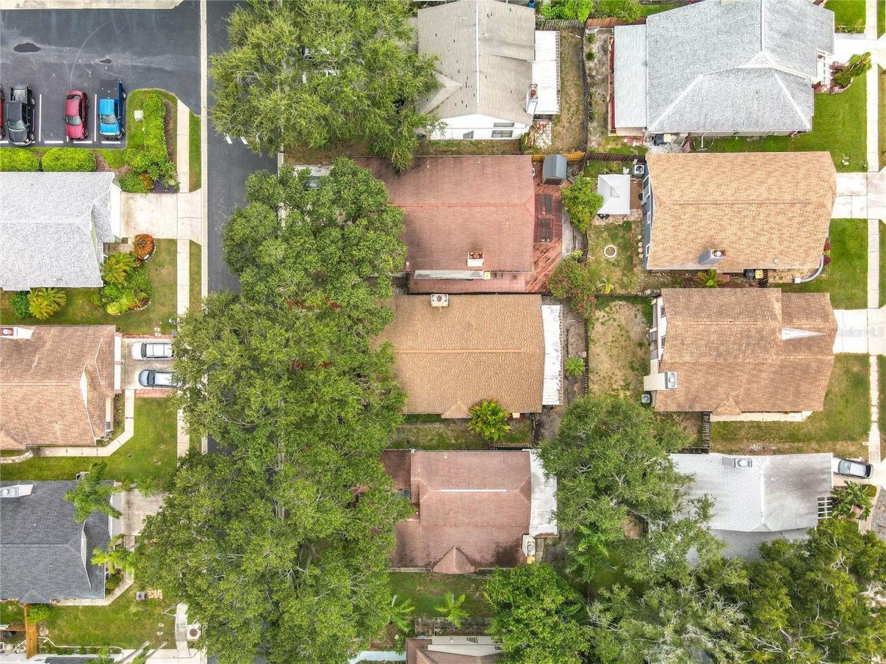 1876 Springbush Lane, Clearwater, FL 33763 Photo